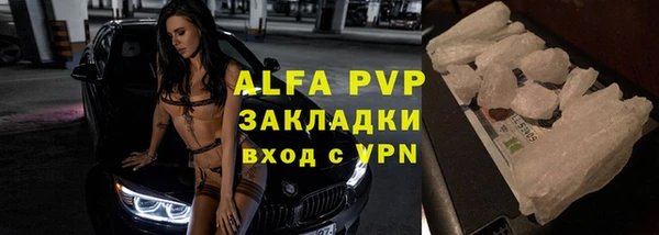 крисы Коряжма