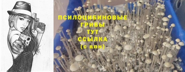 молекула духа Кукмор