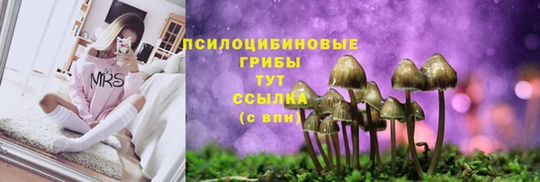 прущая мука Лагань