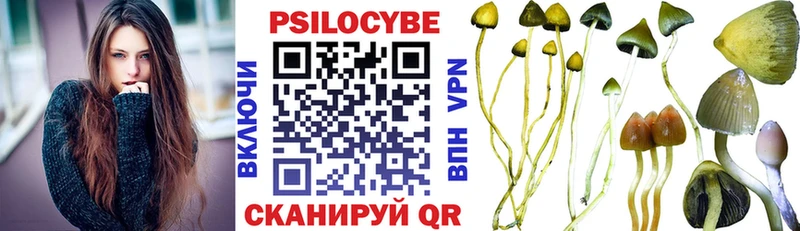 Псилоцибиновые грибы MAGIC MUSHROOMS  цены   Макаров 