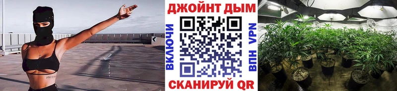 Каннабис индика  Макаров 